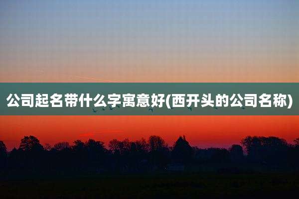 公司起名带什么字寓意好(西开头的公司名称)