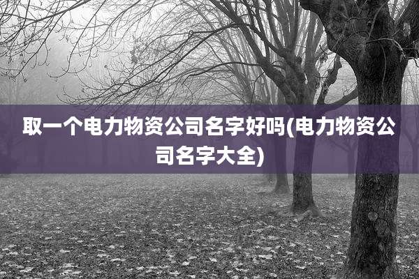 取一个电力物资公司名字好吗(电力物资公司名字大全)