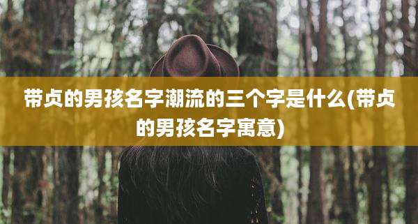 带贞的男孩名字潮流的三个字是什么(带贞的男孩名字寓意)