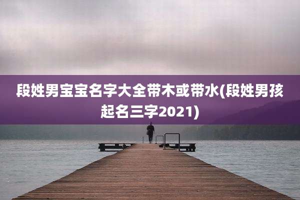 段姓男宝宝名字大全带木或带水(段姓男孩起名三字2021)