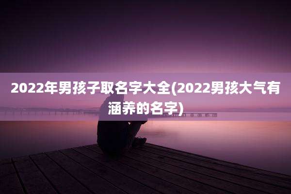 2022年男孩子取名字大全(2022男孩大气有涵养的名字)
