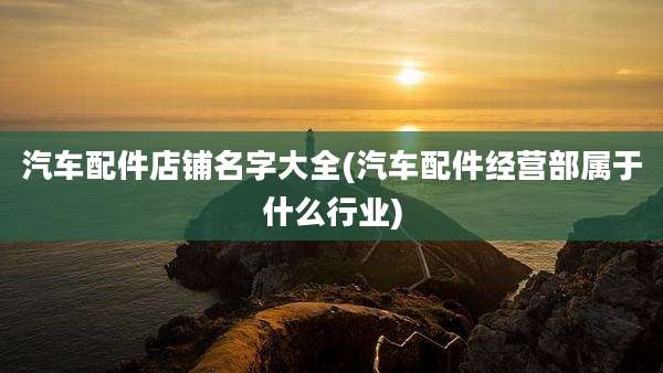 汽车配件店铺名字大全(汽车配件经营部属于什么行业)