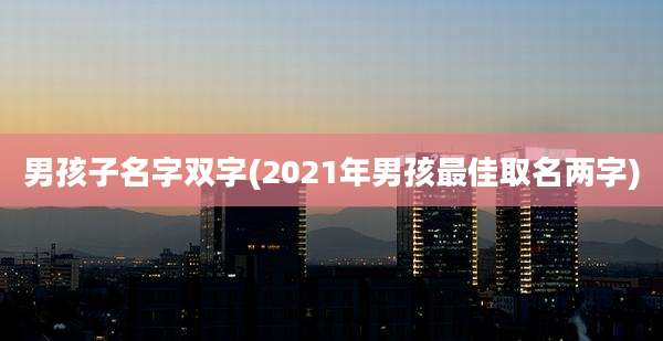 男孩子名字双字(2021年男孩最佳取名两字)
