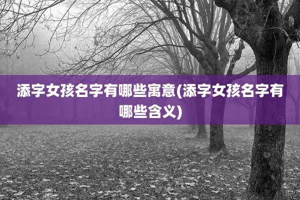 添字女孩名字有哪些寓意(添字女孩名字有哪些含义)