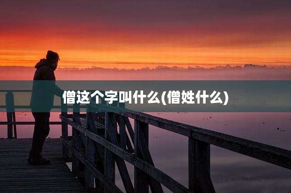 僧这个字叫什么(僧姓什么)