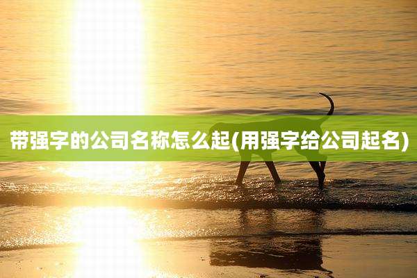 带强字的公司名称怎么起(用强字给公司起名)