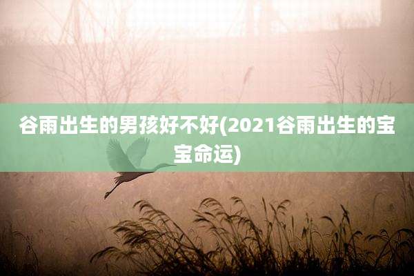 谷雨出生的男孩好不好(2021谷雨出生的宝宝命运)