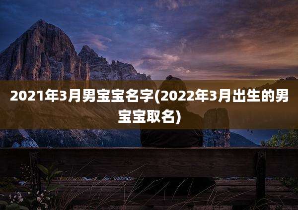 2021年3月男宝宝名字(2022年3月出生的男宝宝取名)