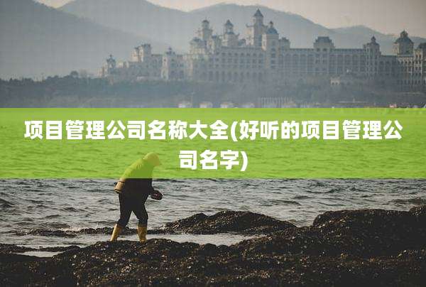 项目管理公司名称大全(好听的项目管理公司名字)