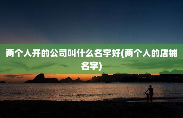 两个人开的公司叫什么名字好(两个人的店铺名字)
