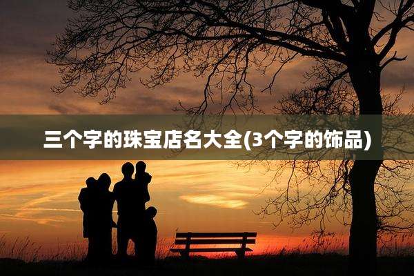 三个字的珠宝店名大全(3个字的饰品)