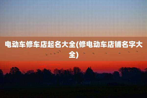电动车修车店起名大全(修电动车店铺名字大全)