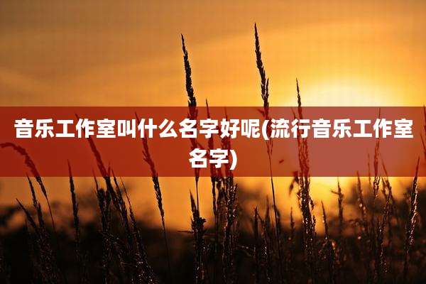 音乐工作室叫什么名字好呢(流行音乐工作室名字)
