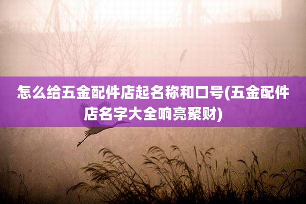 怎么给五金配件店起名称和口号(五金配件店名字大全响亮聚财)