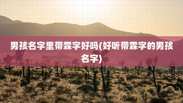 男孩名字里带霖字好吗(好听带霖字的男孩名字)