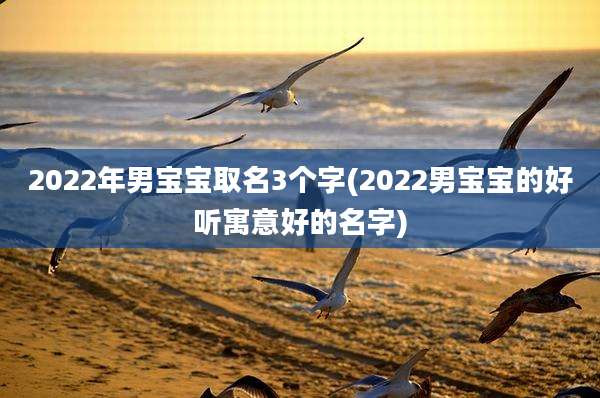 2022年男宝宝取名3个字(2022男宝宝的好听寓意好的名字)