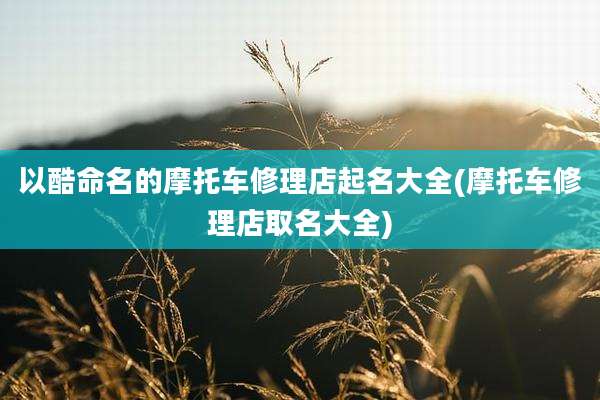 以酷命名的摩托车修理店起名大全(摩托车修理店取名大全)