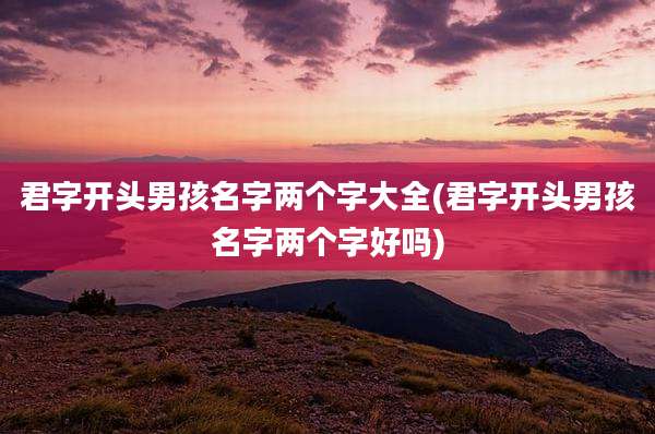 君字开头男孩名字两个字大全(君字开头男孩名字两个字好吗)