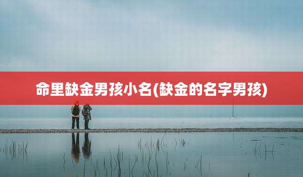 命里缺金男孩小名(缺金的名字男孩)