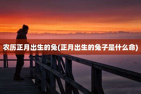 农历正月出生的兔(正月出生的兔子是什么命)