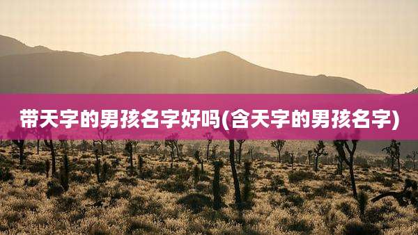 带天字的男孩名字好吗(含天字的男孩名字)
