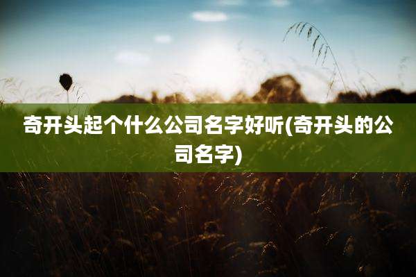 奇开头起个什么公司名字好听(奇开头的公司名字)