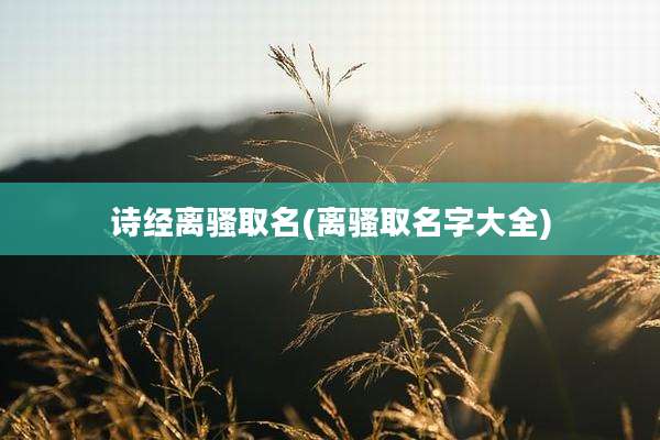 诗经离骚取名(离骚取名字大全)