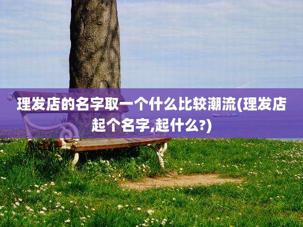 理发店的名字取一个什么比较潮流(理发店起个名字,起什么?)