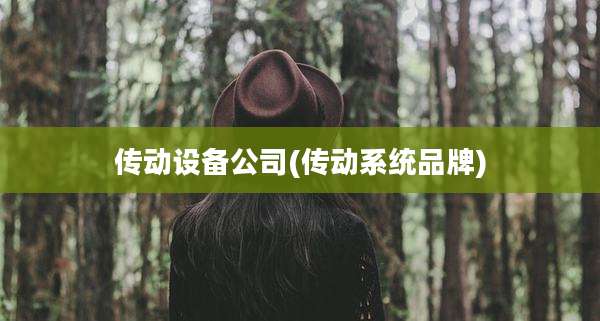 传动设备公司(传动系统品牌)