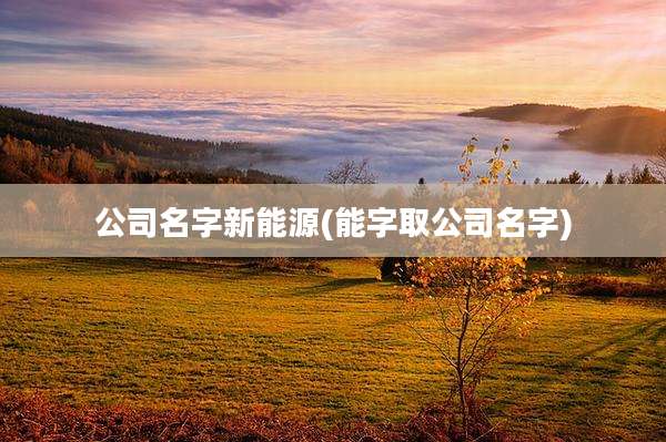 公司名字新能源(能字取公司名字)