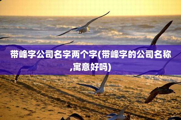 带峰字公司名字两个字(带峰字的公司名称,寓意好吗)