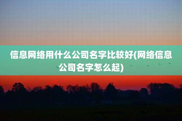信息网络用什么公司名字比较好(网络信息公司名字怎么起)
