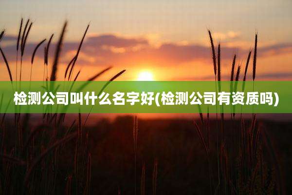 检测公司叫什么名字好(检测公司有资质吗)