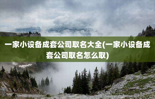 一家小设备成套公司取名大全(一家小设备成套公司取名怎么取)