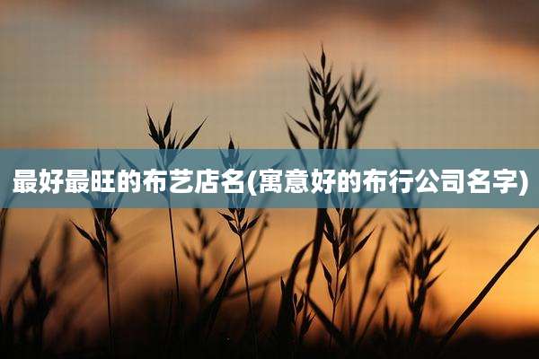 最好最旺的布艺店名(寓意好的布行公司名字)