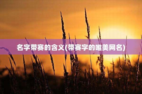 名字带赛的含义(带赛字的唯美网名)