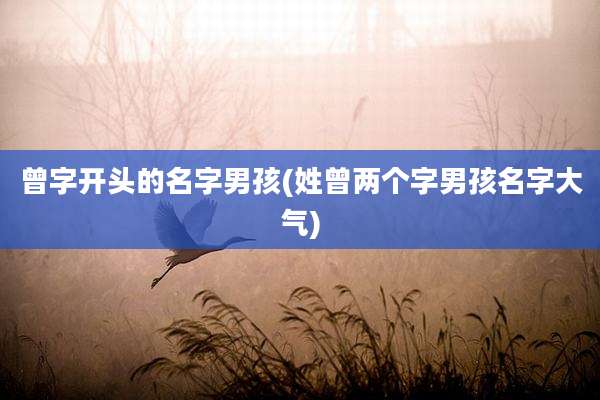 曾字开头的名字男孩(姓曾两个字男孩名字大气)