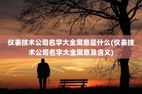 仪表技术公司名字大全寓意是什么(仪表技术公司名字大全寓意及含义)