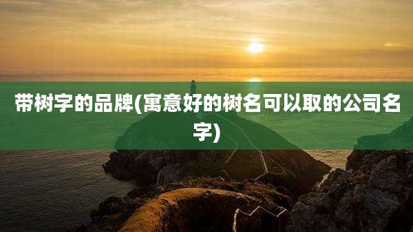 带树字的品牌(寓意好的树名可以取的公司名字)