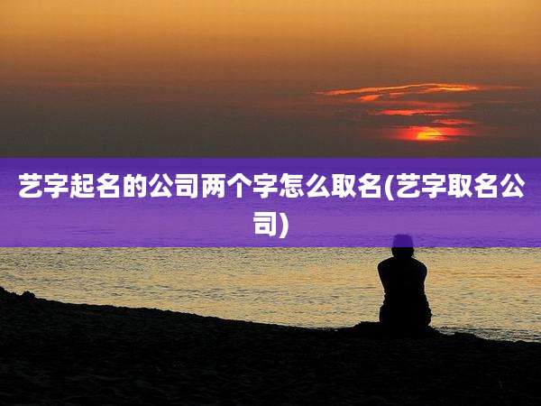 艺字起名的公司两个字怎么取名(艺字取名公司)