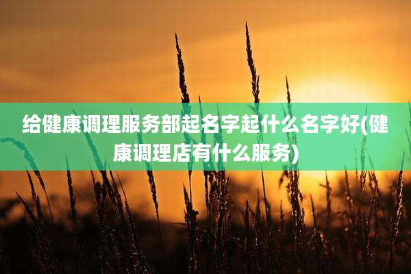 给健康调理服务部起名字起什么名字好(健康调理店有什么服务)