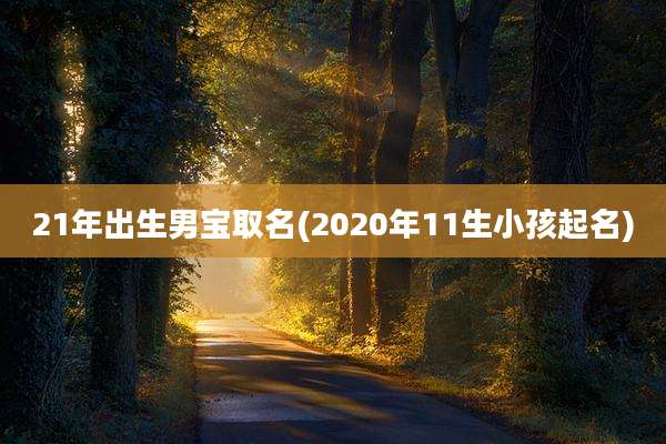 21年出生男宝取名(2020年11生小孩起名)