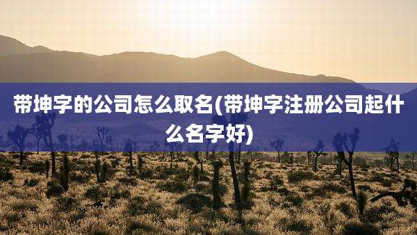 带坤字的公司怎么取名(带坤字注册公司起什么名字好)