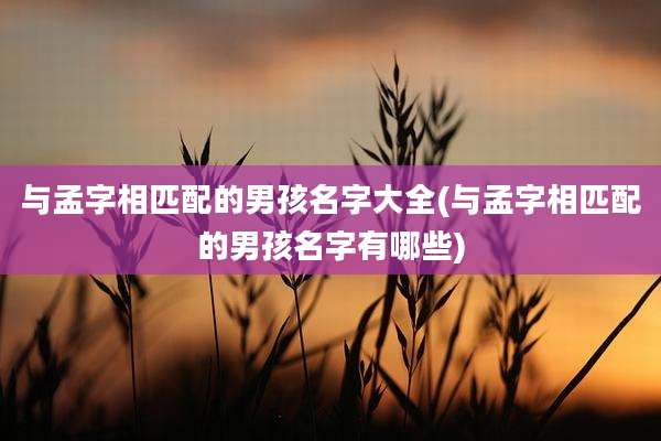 与孟字相匹配的男孩名字大全(与孟字相匹配的男孩名字有哪些)