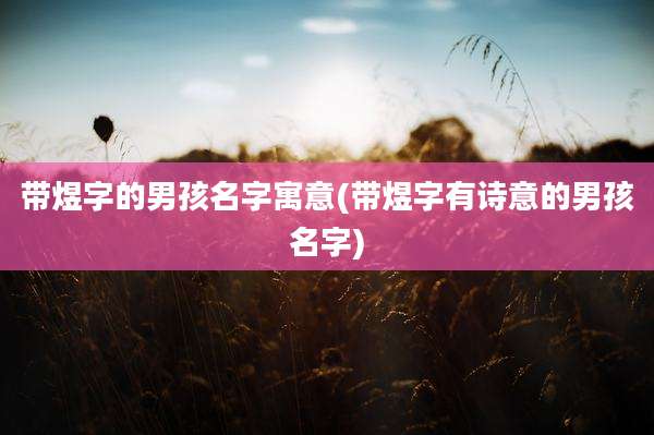 带煜字的男孩名字寓意(带煜字有诗意的男孩名字)