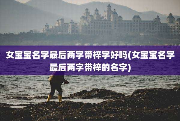 女宝宝名字最后两字带梓字好吗(女宝宝名字最后两字带梓的名字)