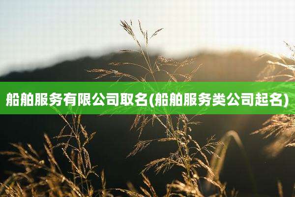 船舶服务有限公司取名(船舶服务类公司起名)