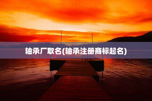 轴承厂取名(轴承注册商标起名)