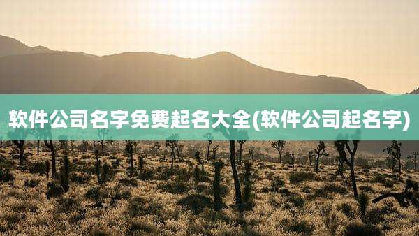 软件公司名字免费起名大全(软件公司起名字)