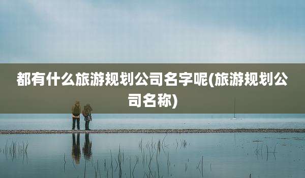 都有什么旅游规划公司名字呢(旅游规划公司名称)